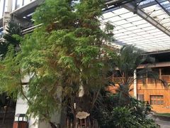 -龙达温泉生态城