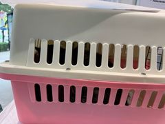-纳吉亚猫专科动物医院·北北分院