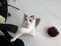 -猫遇摄影工作室