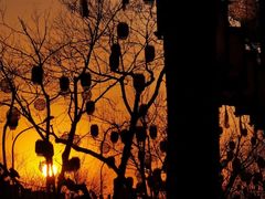 -龙湖星悦荟(颐和店)