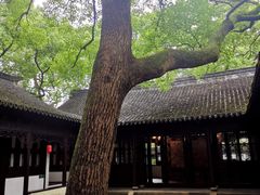 -上海醉白池公园