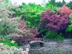 -嘉定紫藤园