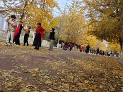 -辽宁大学(崇山校区)