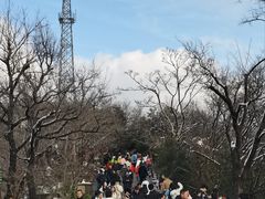-头陀岭景区