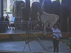 -泉州海丝野生动物世界