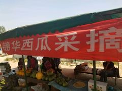 -庞各庄西瓜蔬菜采摘园·锦华瓜园