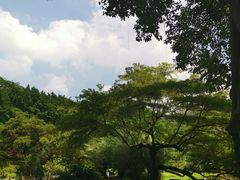 -广州雕塑公园