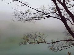 -紫霞湖公园