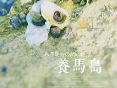 -养马岛旅游度假区