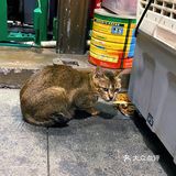 他说这里老房子多，意味着也多