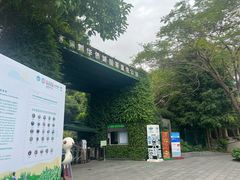 -华侨城湿地公园