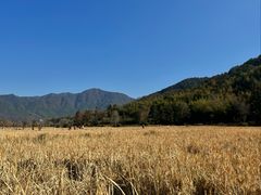 -塔川景区