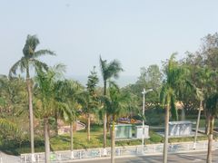 -五月花海鲜城