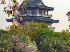 -海珠湖公园