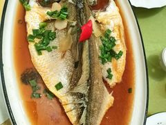 清蒸黄瓜鱼-阿华海鲜饭店(山河路店)