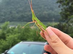 -安吉龙王山峡谷漂流