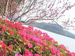 -水濂山水库景点停车场