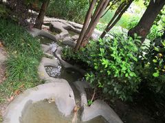 -活水公园