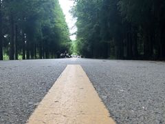 -山王坪喀斯特国家生态公园