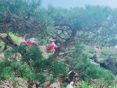 -罗红摄影艺术馆