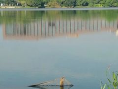 -松山湖南湖湾露营营地