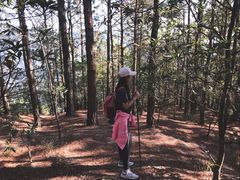 -皇鸽餐厅(五桂山分店)