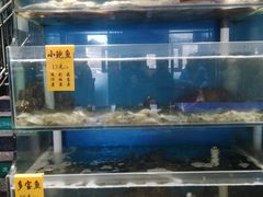 水产区-紫光园(燕郊总店)