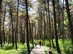 -长春净月潭风景名胜区