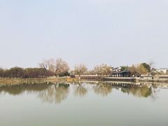 -八大山人梅湖景区