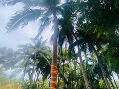 -三亚湾海居铂尔曼度假酒店