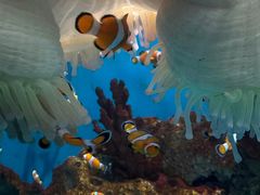 -海合安武汉极地海洋公园