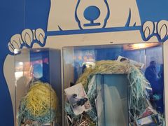 -海合安武汉极地海洋公园