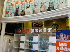 -SFC上影影城(南京新城市广场店)