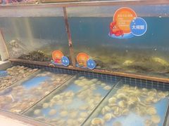 -加勒比阳光环球美食自助(凯德店)