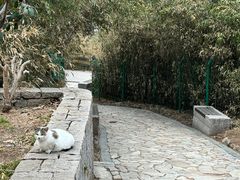 -崂山九水游览区