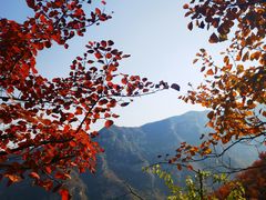 -周口店坡峰岭风景区
