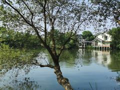 -新荣记(西溪湿地店)