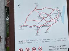 -铁山坪森林公园