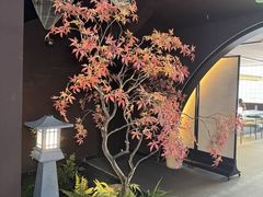 -椿杨樘·明康泡浴养生馆(重庆店)