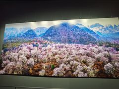 -罗红摄影艺术馆