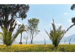 -滇池海埂公园