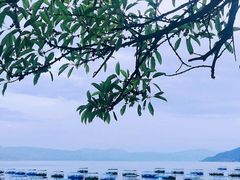 -抚仙湖禄充风景区
