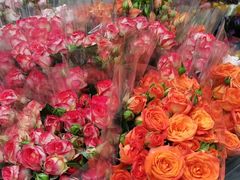 -循礼门鲜花花市(武汉循礼门店)