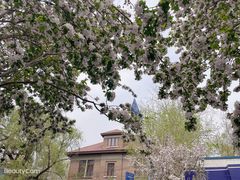 -天津五大道文化旅游区