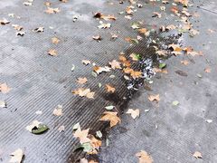 -大叔家福鼎小吃(十全街店)