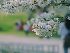 -上海辰山植物园
