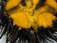 -海胆小馆(东北水饺·春柳店)