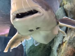 -波塞冬海底世界