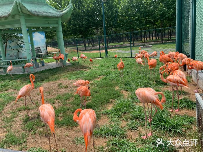 秦皇岛野生动物园图片