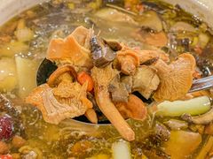 -江川野生菌火锅铜锅鱼(贵清火锅店)